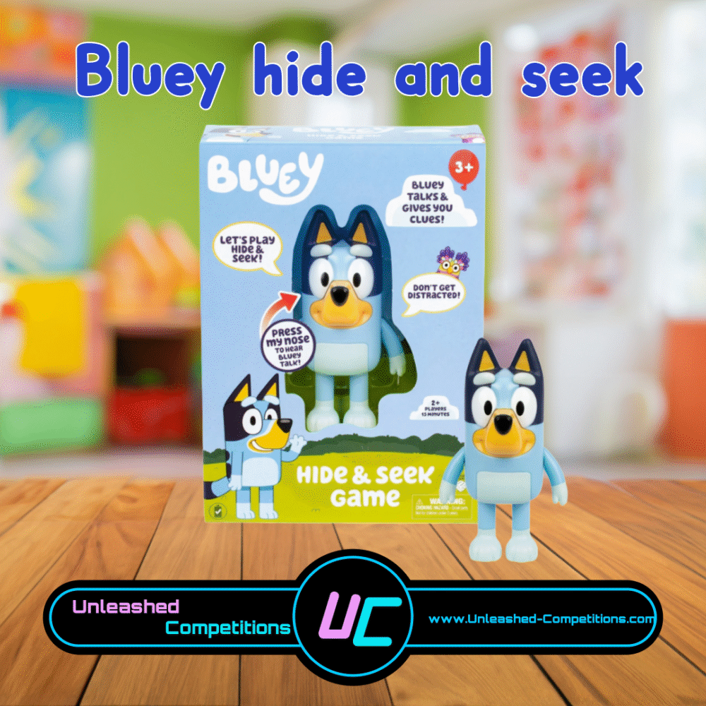 Bluey Hide And Seek